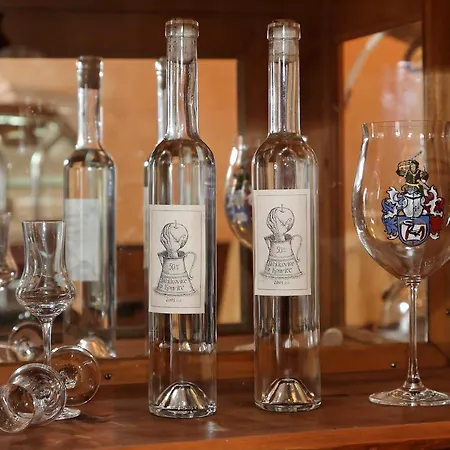 Hotel Hotel Konvice 3*